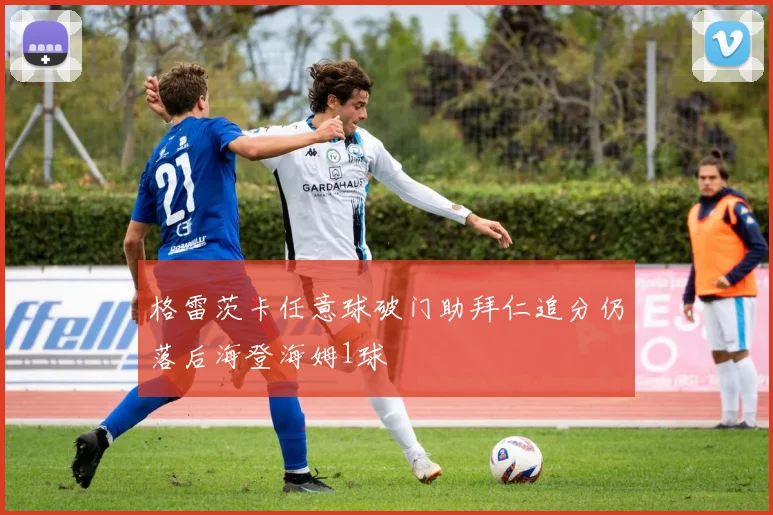格雷茨卡任意球破门助拜仁追分仍落后海登海姆1球