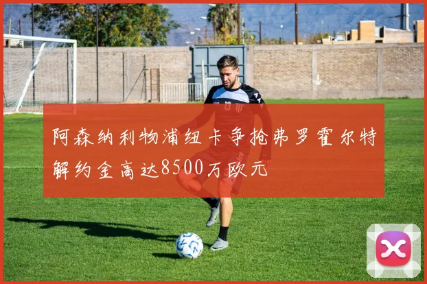 阿森纳利物浦纽卡争抢弗罗霍尔特解约金高达8500万欧元