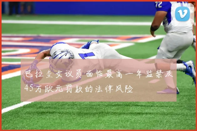 巴拉圭女议员面临最高一年监禁及45万欧元罚款的法律风险